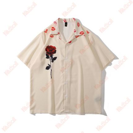 delicate casual shirt